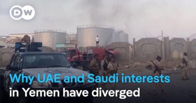 United Arab Emirates to withdraw forces from Yemen after Saudi strike | DW News