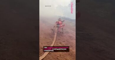 Unitree’s robots are capable of operating in extreme #robotics #robot #robotdog #unitree #china