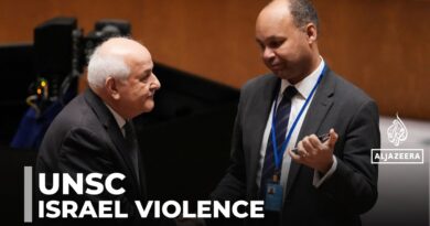 UNSC briefing on Israeli occupation: Resolution demands end to settler violence