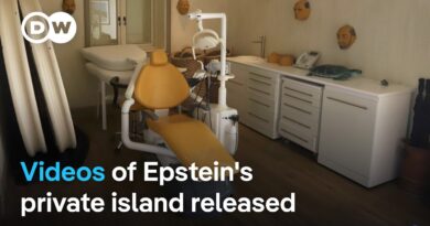 US lawmakers release videos of Epstein’s private island hideaway. Why now?  | DW News