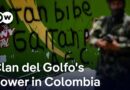 US to designate Colombia’s largest drug trafficking gang as terrorist organization | DW News