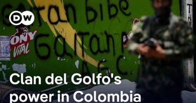 US to designate Colombia’s largest drug trafficking gang as terrorist organization | DW News