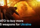 Using frozen Russian assets to fund Ukraine “the only viable option”,  says Dutch FM | DW News