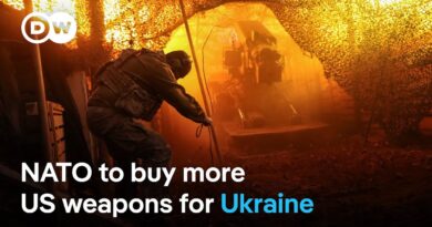 Using frozen Russian assets to fund Ukraine “the only viable option”,  says Dutch FM | DW News