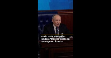 Vladimir Putin calls European leaders ‘piglets’ seeking revenge | AJ #shorts