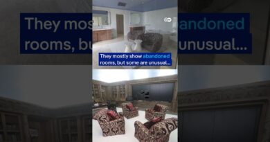 Watch new footage from Epstein Island released by US lawmakers | DW News