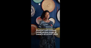 West African culture takes center stage at Dakar’s ECOFEST 2025 | #ajshorts