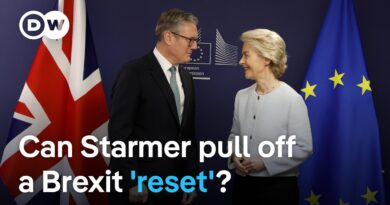 What are the challenges facing the UK gov’t in trying to boost British exports to the EU? | DW News