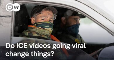 What happens after violent ICE videos go viral | DW Analysis
