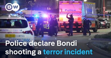 What is currently known about the assassination in Sydney? | DW News