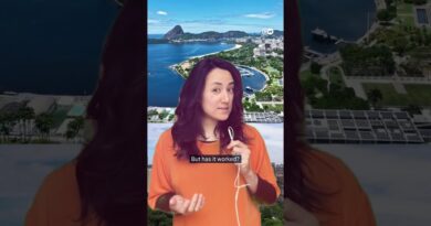 What is the EU-Mercosur trade deal and why has the EU delayed its signing? | DW News