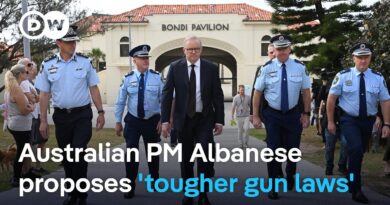 What we know about the Sydney terror attack | DW News