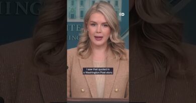 White House defends double boat strike | DW News