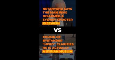 Who stopped the Bondi attack?