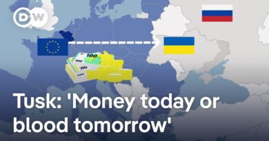 Why not all EU member states are on board with using frozen Russian assets for Ukraine | DW News