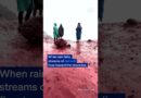 Why rainfall has turned Iran’s ‘Red Beach’ island blood red | DW News