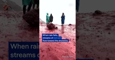 Why rainfall has turned Iran’s ‘Red Beach’ island blood red | DW News