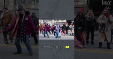 Why Trump’s MAGA is experiencing so much infighting