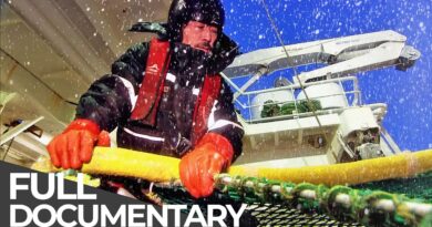 World’s Toughest Ships | Extreme Trawler: Fishing the World’s Coldest Seas | Free Documentary