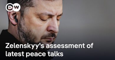 Zelenskyy: Peace talks with US negotiators have been productive but not easy | DW News