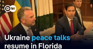 Zelenskyy: Plan to end the war could be ready in the coming days | DW News