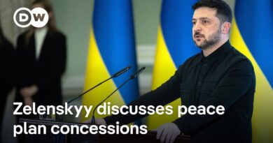 Zelenskyy says he is open to demilitarizing the Donbass | DW News