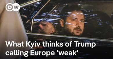 Zelenskyy to hold urgent talks with many world leaders as US pushes for peace deal | DW News