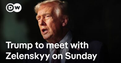 Zelenskyy to travel to Florida for Trump meeting | DW News