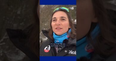 A Sled Race that Respects its Dogs | DW News