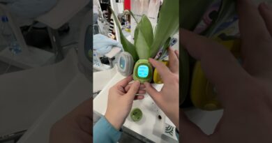 A Tamagotchi for your plants? #CES2026 #TITW