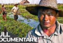 A World Without Solid Ground: Floating Life on Inle Lake | Free Documentary
