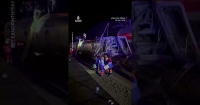 Aftermath of deadly train collision in southern Spain