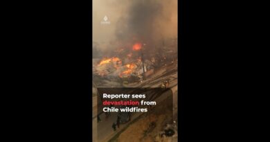 Al Jazeera sees devastation from southern Chile wildfires | AJ #shorts
