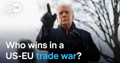 Are the US and EU headed for a trade war over Greenland? | DW News