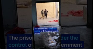At least 100 IS inmates escape Syria prison | DW News