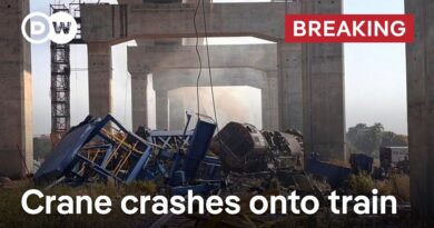 At least 22 dead after crane fell on passenger train in Thailand | DW News