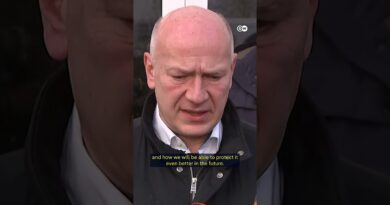 Berlin power outage points to vulnerable critical infrastructure | DW News