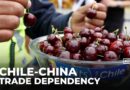 Chile-China ties: Once-pioneering relationship turns into dependency