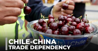 Chile-China ties: Once-pioneering relationship turns into dependency