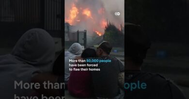 Chile declares State of Emergency over wildfires | DW News