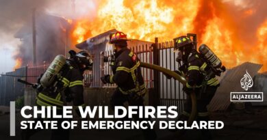 Chile forest fire death toll rises to 20 as state of emergency declared