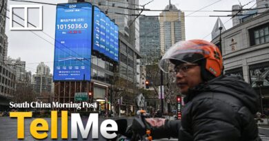 China meets 2025 GDP goal despite Q4 slowdown