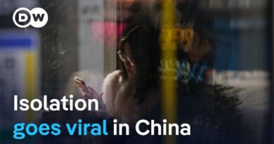 Chinese app ‘Are You Dead’ sparks debate on social isolation | DW News