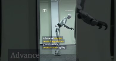 Chinese humanoid robot shows off combat-style agility