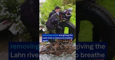 Cleaning up the Lahn river and educating the public | DW News