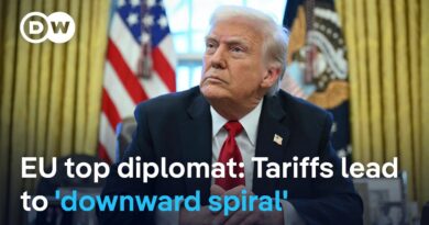 Could the EU consider implementing counter-tariffs or taking coordinated action? | DW News