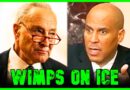 Dems Are Being COMPLETE P*SSIES About ICE | The Kyle Kulinski Show