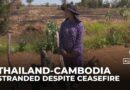 Displaced families stranded on Thailand–Cambodia border despite ceasefire