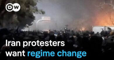 Do Iranians want US intervention in protest movement? | DW News