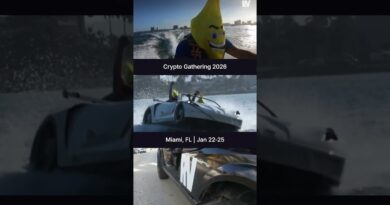 Do Markets Care About Fed Independence?